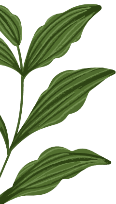 Decorative leafy branch